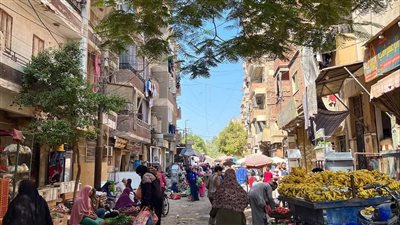 استمرار استقرار أسعار الخضراوات والفاكهة اليوم الجمعة في الفيوم  