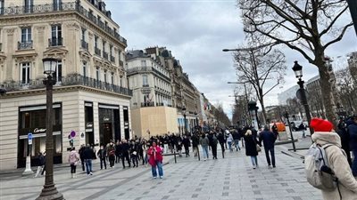 بق الفراش يغزو الأماكن العامة في باريس وتُثير الذعر