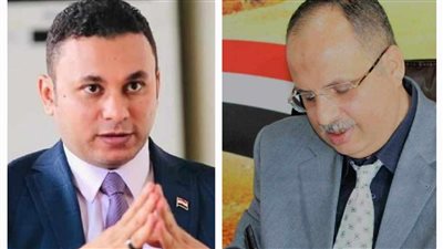 مطر: تواصل مستمر مع منسق أكبر جالية مصرية بالخارج استعدادًا للانتخابات الرئاسية 