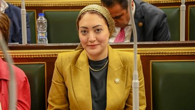 النائبة أسماء الجمال ردًا على بيان الاتحاد الأوروبي: يتضمن أكاذيب ونرفضه