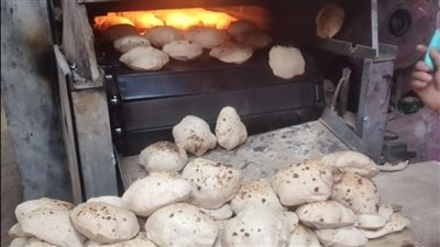 غلق 3 مخابر وتحرير 58 محضرًا تموينيًا خلال حملات بأسيوط