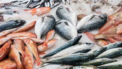 أسعار السمك صباح اليوم السبت للمستهلك