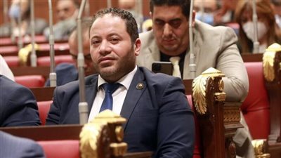 النائب مصطفى سالمان: بيان الاتحاد الأوروبي لا يتسم بالمصداقية أو الحيادية