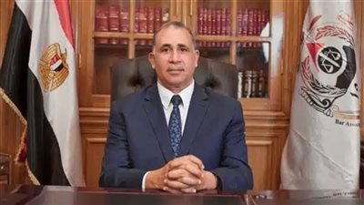 رئيس اتحاد المحامين العرب: ندعم ونساند نضال الشعب الفلسطيني الباسل