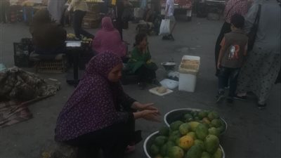 استقرار أسعار الخضروات والفاكهة بأسواق الفيوم
