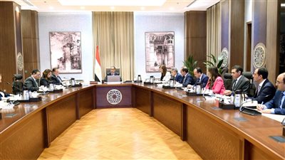 مدبولي يتابع موقف المبادرات الخاصة بإتاحة المزيد من التيسيرات والمحفزات للمصريين بالخارج