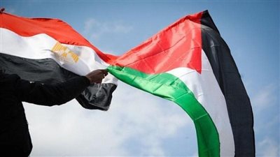 القضية الفلسطينية جزء من الأمن القومي المصري.. فيديو