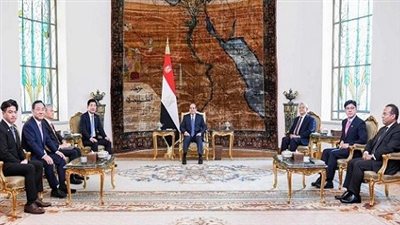 السيسي يبحث سبل تعظيم استفادة مصر من الخبرات الكورية في الصناعات التكنولوجية