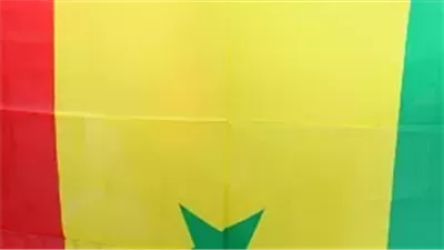 السنغال.. الدولة المستثناة في غرب إفريقيا من الانقلابات