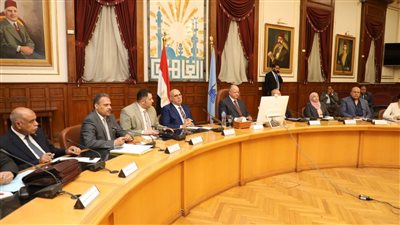 محافظ القاهرة: الدولة تولي مشروع الشبكة الوطنية الموحدة للطوارئ اهتمامًا بالغًا 