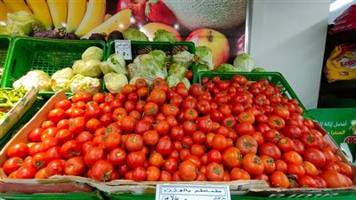 الطماطم بـ10جنيهات.. تعرف على أسعار الخضروات والفاكهة بأسواق البحيرة