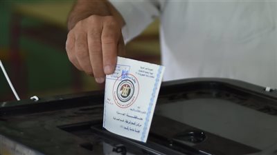 آليات وضوابط التصويت الخاصة بالمصريين بالخارج