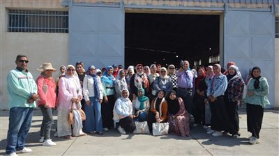  ملتقى أهل مصر يكشف أسرار زيت الزيتون فى زيارة معصرة الزيتون السيناوي  