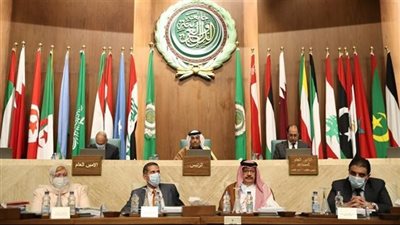 اجتماع للدول العربية غدًا لبحث حرب غزة والمتحدث: نأمل في إرادة قوية