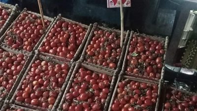 الطماطم ب10 جنيهات.. أسعار الخضروات والفاكهة بأسواق الفيوم 