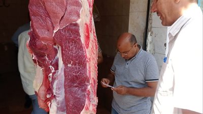 ضبط 89 مخالفة تموينية في حملات على أسواق المنيا