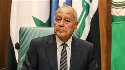 أبوالغيط يؤكد ضرورة وقف الحرب الدائرة في غزة وتوفير الحماية للفلسطينيين