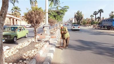  رفع 1185 طن مخلفات بلدية وصلبة من شوارع وميادين المنصورة
