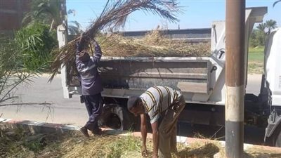 حملة مكبرة لرفع المخلفات بمجلس قروي الرحمانية بنجع حمادي 