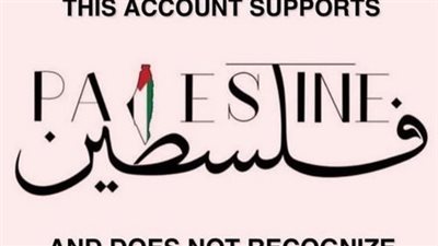 فلسطين| انتفاضة إلكترونية لنجوم الفن دعمًا للمقاومة 