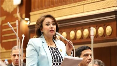 «حقوق الإنسان» بالشيوخ: كلمة السيسي أكدت الرهان على وعي المصريين وعدم الانسياق وراء الفتن