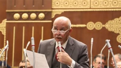 حازم الجندي: موقف مصر سيظل صامدًا تجاه القومية العربية 