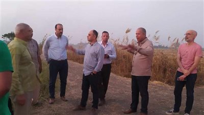 جولة ميدانية لمراقبة منظومة قش الأرز بـ الدقهلية والقليوبية والشرقية