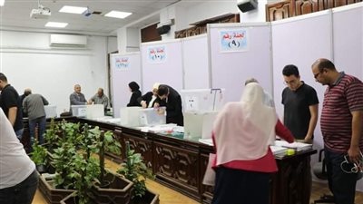 هدوء وإقبال في انتخابات الأطباء بالإسماعيلية 