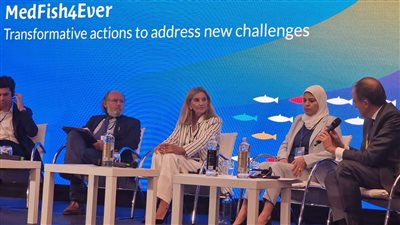 تجربة مصر لحماية الصيادين بمؤتمر دولي بمالطا