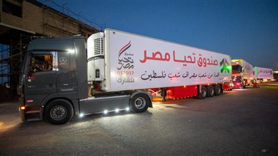 أولهم مصر.. دول ترسل مساعدات إغاثية إلى غزة