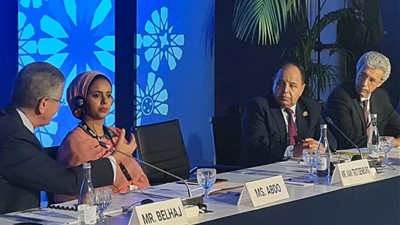 وزير المالية أمام صندوق النقد: أنفقنا 450 مليار جنيه حزمًا اجتماعية تحفيزية