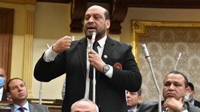 محمود الشامي: رسالة الأزهر للفلسطينيين دعم كبير لصمودهم في وجه الاحتلال