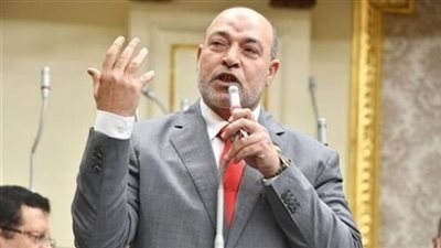 برلماني يهنئ الحكومة بالنجاحات العالمية المرموقة لجامعة القاهرة