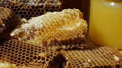 طرق التمييز بين العسل الأصلي والمغشوش