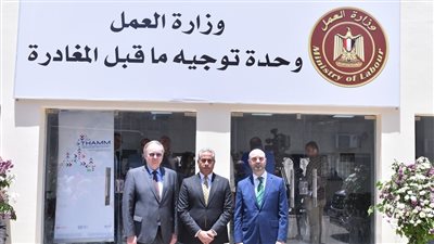 للعمال المصريين بالخارج.. أهم المعلومات عن برنامج THAMM وأهدافه