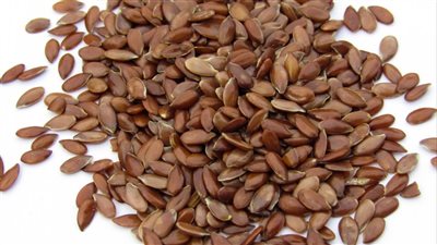 7 فوائد لبذور الكتان تجعلك تتناولها يوميًا 