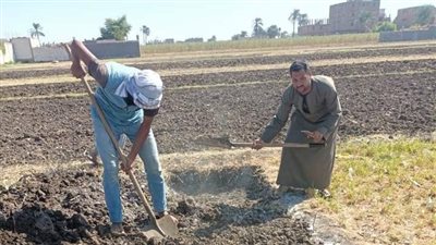 ردم حفر قواعد خرسانية بمجلس قروى الشعانية بقنا 