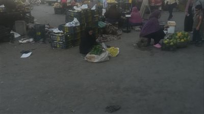 أسعار الخضروات والفاكهة بالفيوم