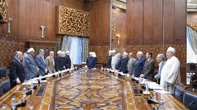 برئاسة شيخ الأزهر.. مجمع البحوث الإسلامية يبدأ جلسته بالوقوف حدادًا على شهداء فلسطين