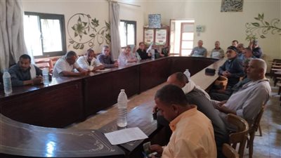 الزراعة تكثف استعداداتها لموسم القمح