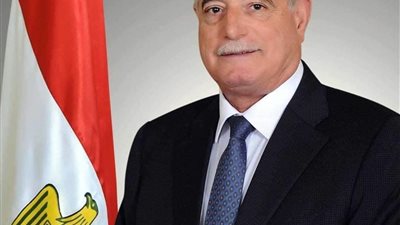  جنوب سيناء  الخامس بالمكتبات  علي مستوي الجمهوريه للمرحلتين الابتدائية والإعدادية 