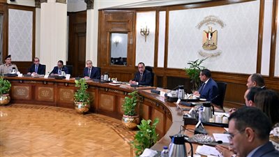 رئيس الوزراء يكلف بمتابعة الأسواق بصورة دورية للتأكد من تطبيق خفض الأسعار   