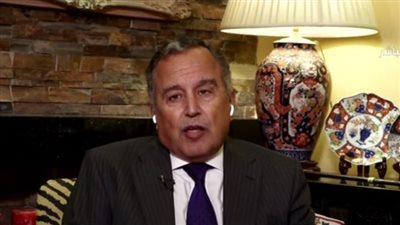 نبيل فهمي: موقف مصر تجاه القضية الفلسطينية تاريخي ومتسق 