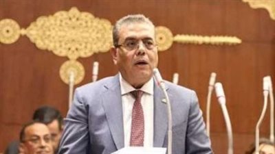 النائب محمود منصور: قرارات مجلس الأمن القومي تأكيد على دور مصر المحوري لحل القضية الفلسطينية 