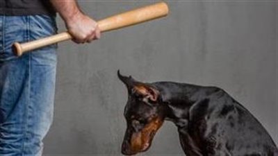  ضبط عاطل تعدى على كلب بسلاح أبيض في القاهرة