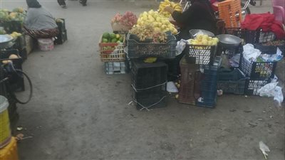 استقرار أسعار الخضروات والفاكهة بأسواق الفيوم  
