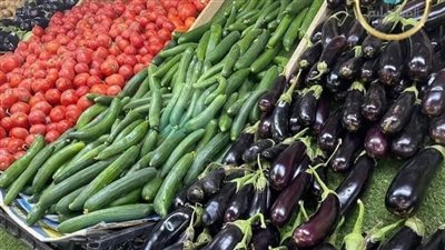 بـ27 جنيهًا.. البصل الأعلى سعرًا في أسواق الخضروات بالفيوم  