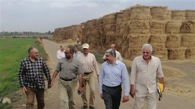 الزراعة تتابع الاستعداد لزراعة القمح ومنظومة الأسمدة في كفر الشيخ 