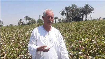 نقيب الفلاحين: أسعار القطن تقفز لأعلي سعر لها في التاريخ 