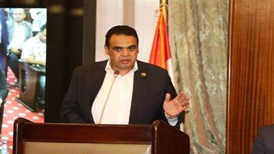 النائب نادر الخبيري: توجيهات السيسي بتنفيذ مشروعات قناة السويس يستهدف تعظيم قدراتها